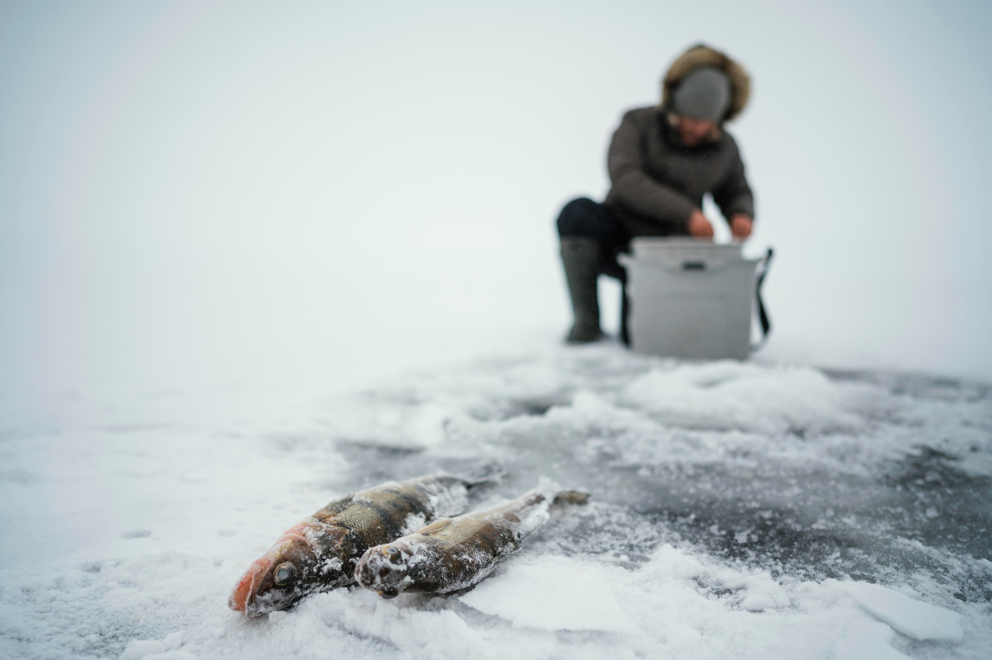 Frozen удочка. Подледная рыбалка на Байкале. Рыбачить. Рыбаки на льдине.